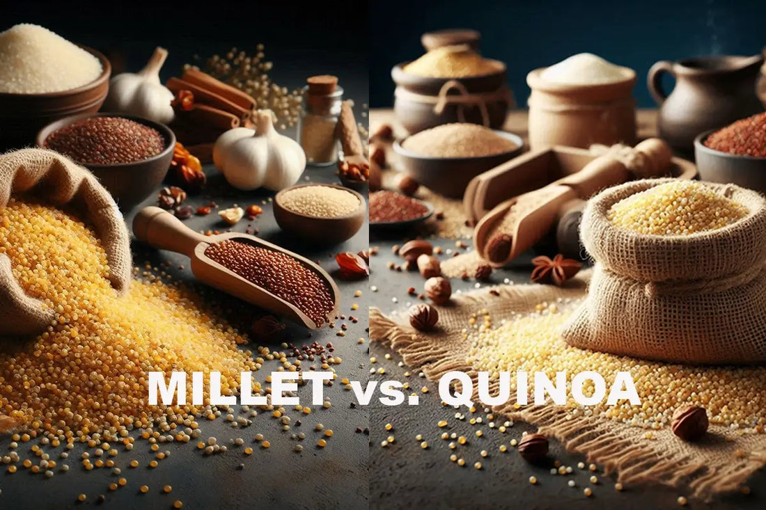 Millet or quinoa: Which one should you choose for better health?