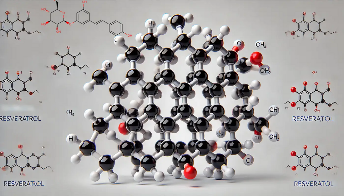 Resveratrol: Exploring its role in anti-aging and heart health