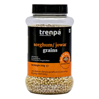 Jar of trenpa sorghum/jowar grains on a white background